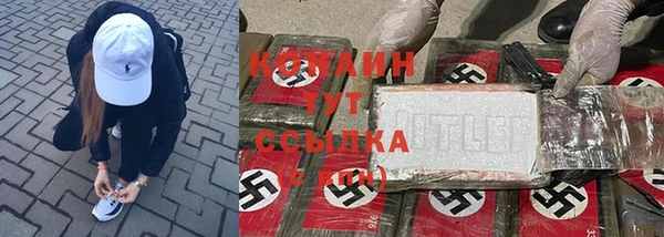 мдпв Белокуриха