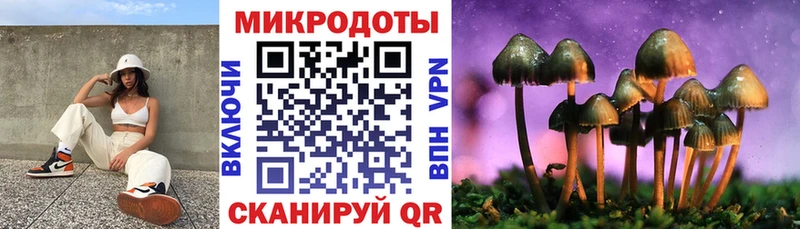 Галлюциногенные грибы Psilocybine cubensis  Лыткарино 